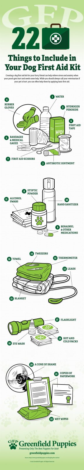22 Things to Include in Your Dog First Aid Kit - Infographic by Greenfield Puppies