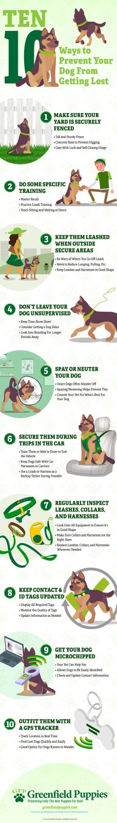 Ways to Prevent Your Dog From Getting Lost - Infographic by Greenfield Puppies