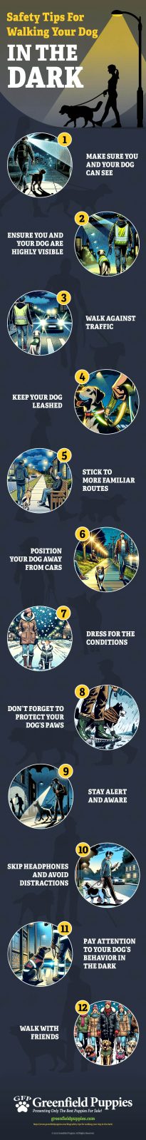 Safety Tips For Walking Your Dog in the Dark - Infographic by Greenfield Puppies